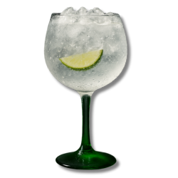 Gin e Tonica