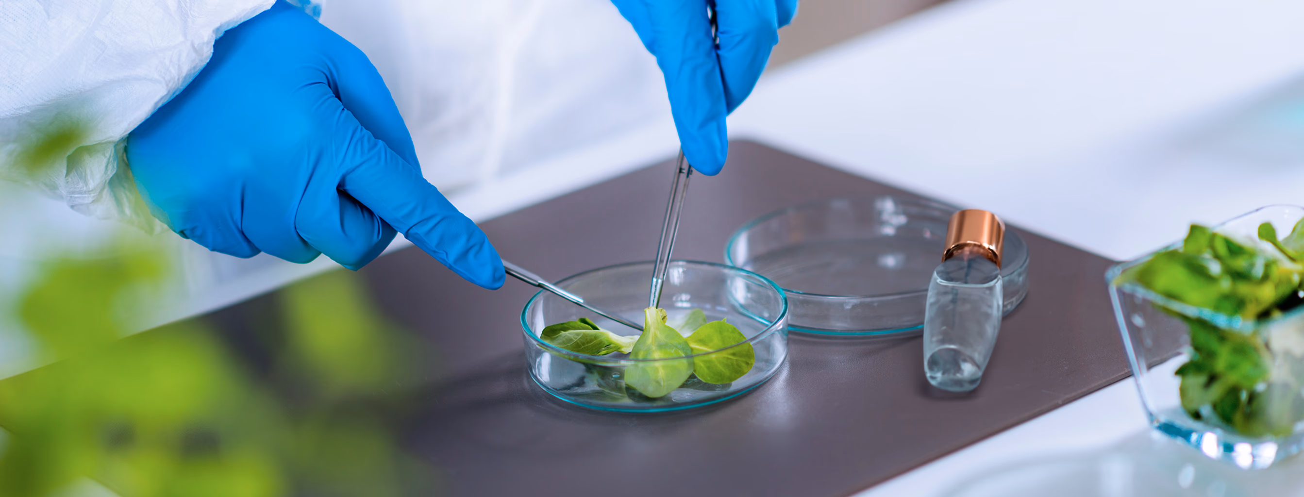 Industria cosmética en España: ¿es posible la innovación y la sostenibilidad?