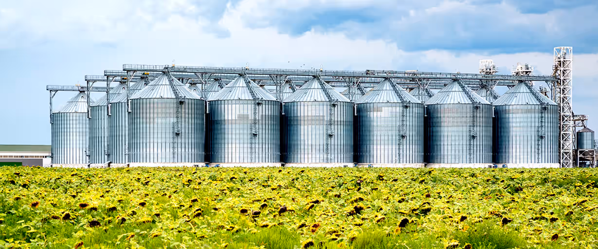 La sostenibilidad a través de la gestión ambiental un nuevo foco del panorama industrial