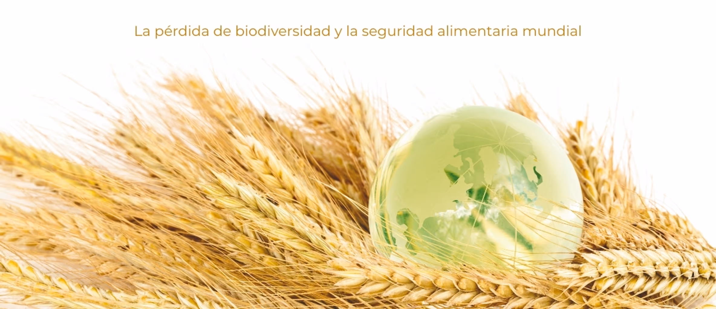 Seguridad alimentaria mundial y pérdida de biodiversidad