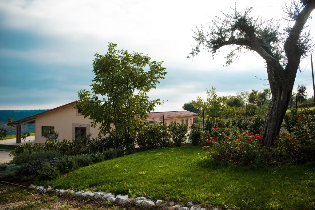 Image of Agriturismo Colle Tripio