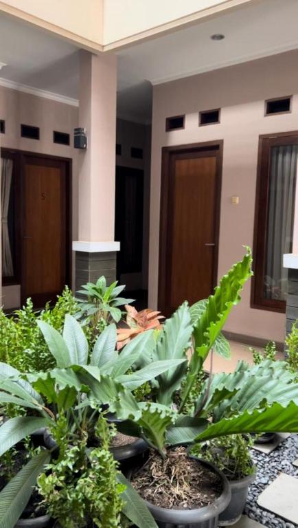 Image of Hens Guesthouse Syariah