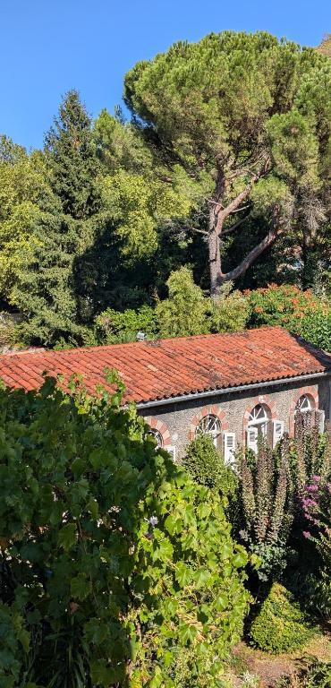 Image of  Gîte Wistéria 