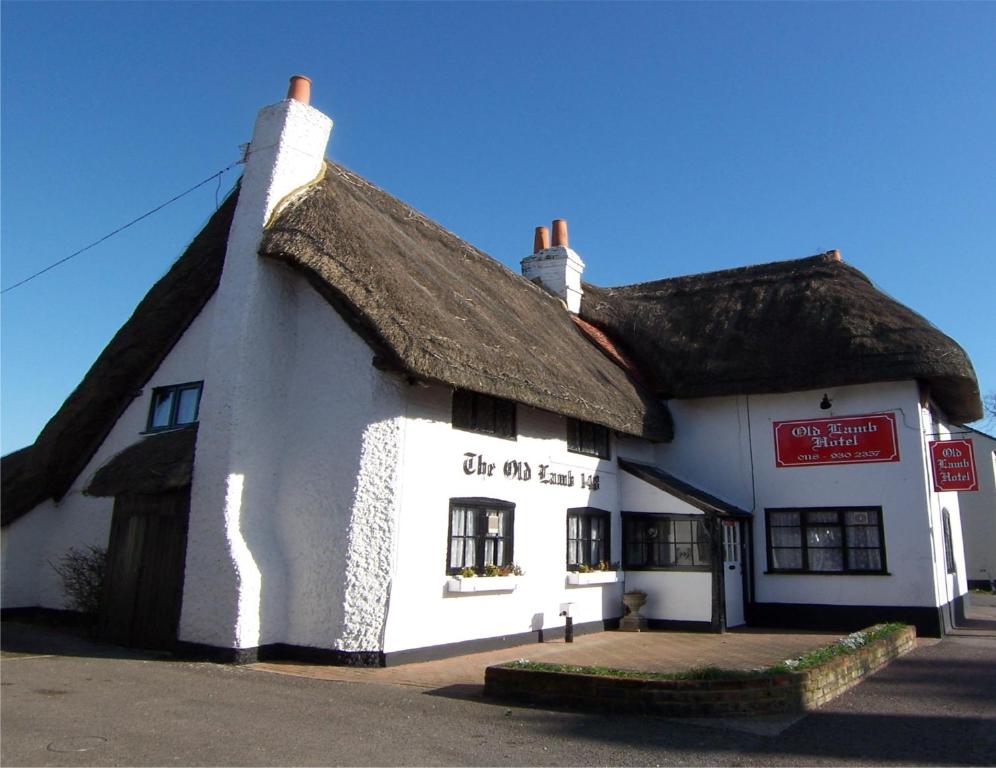 Image of  The Old Lamb 