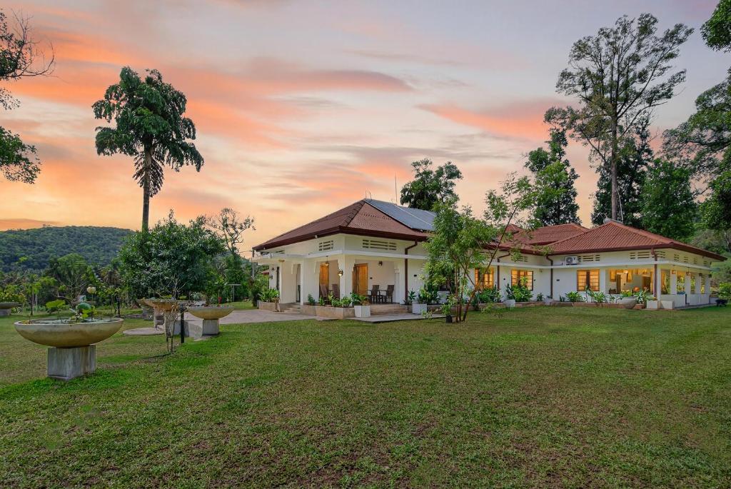 Image of  The Tusker's Hideout 