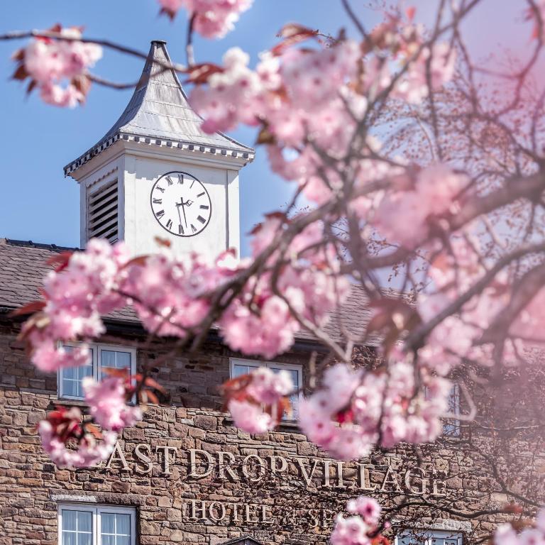 Image of  Last Drop Village Hotel & Spa 