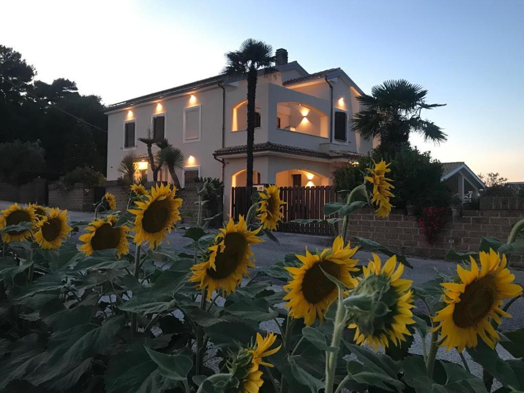 Image of  B&B Isa 