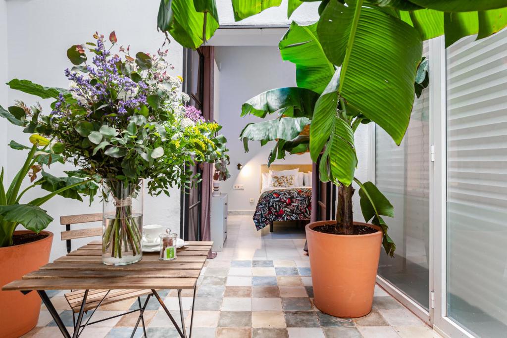 Image of  Art Suites By Casa De Indias 