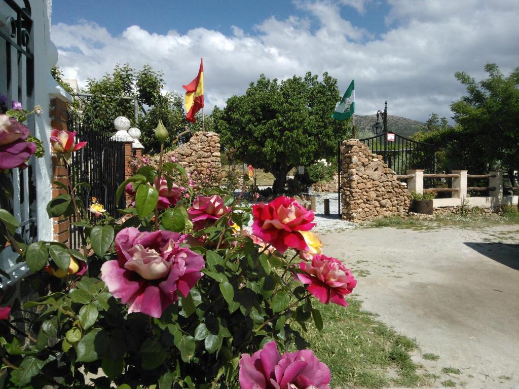 Image of  Cortijo Los Soledad 