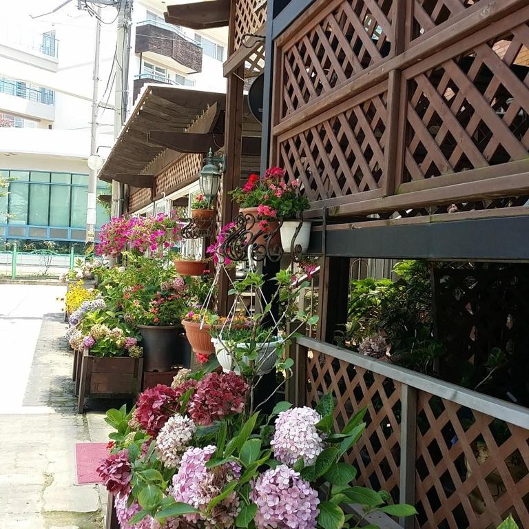 Image of  Roma Pension Boryeong 