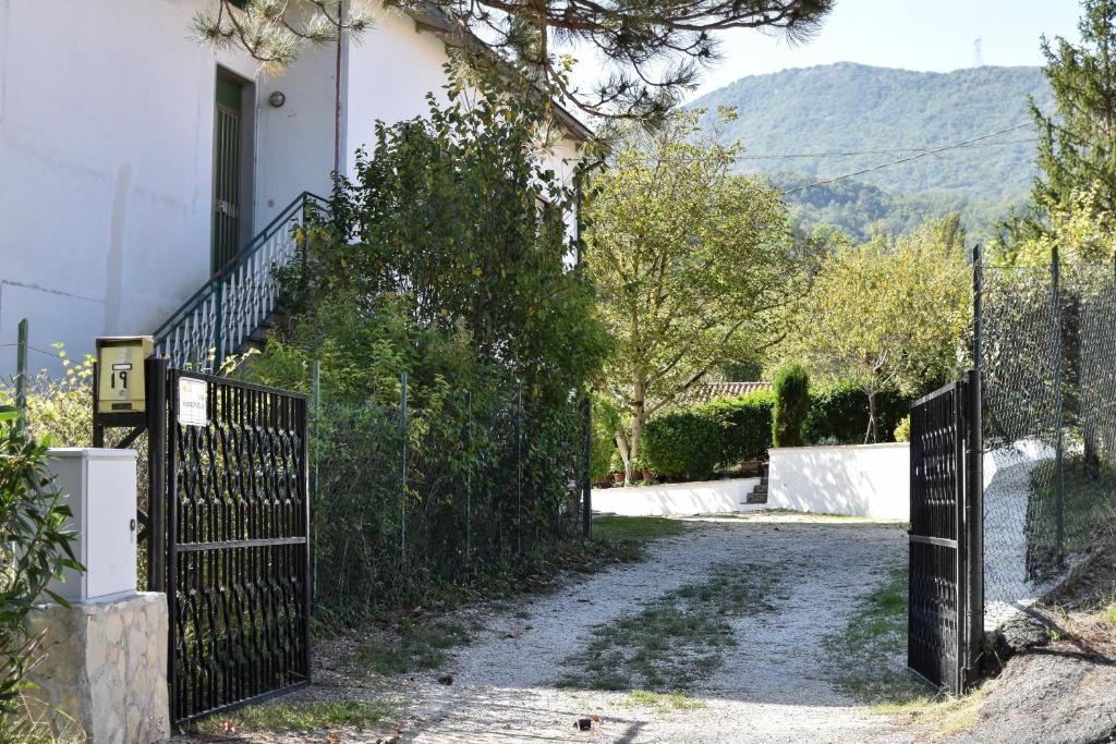 Image of The Lover House