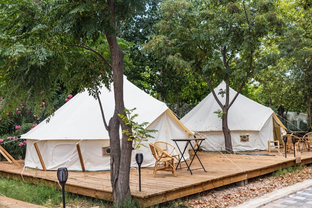 Image of  HolaCamp Gandía 