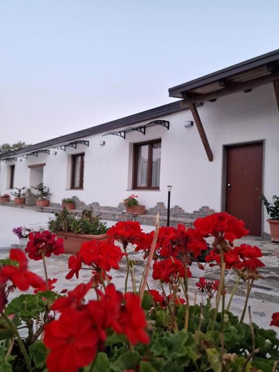 Image of Villa Dello Sparviero
