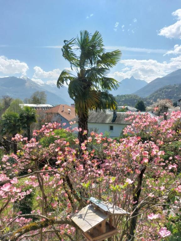 Image of  Logis Hôtel Beau Site 