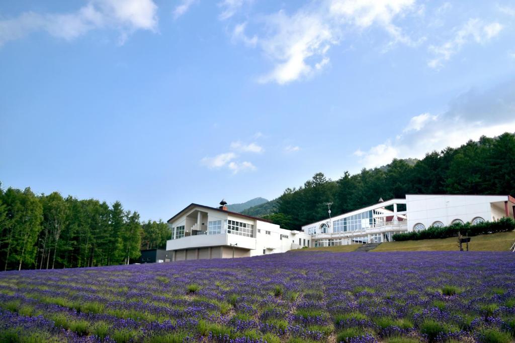 Image of Highland Furano