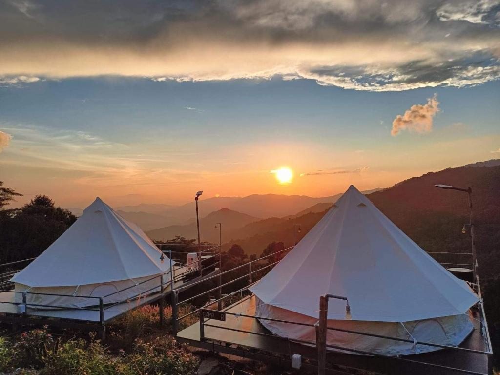 Image of ชิวชิวแคมป์ภูชี้ฟ้า Chill Chill Camp