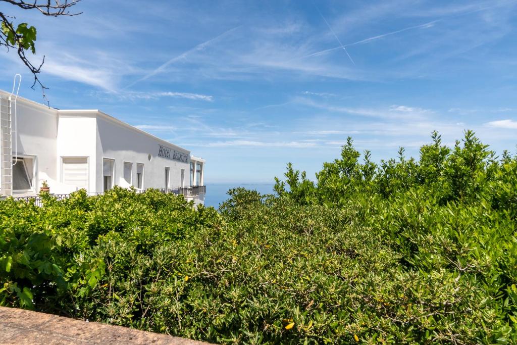 Image of Hotel Bellavista