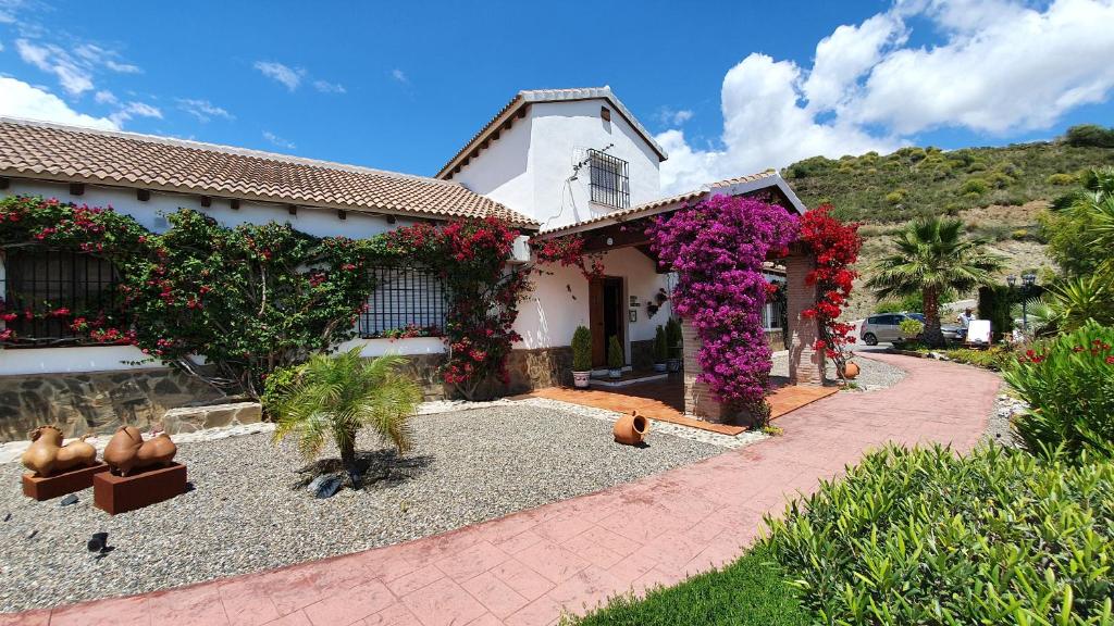 Image of  Bed & Breakfast | Guest House Casa Don Carlos 