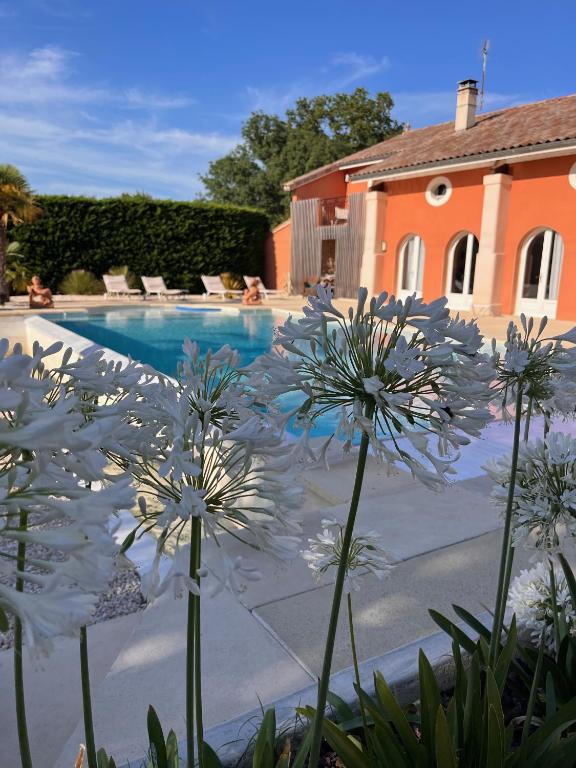 Image of  La Petite Aiguebonne 