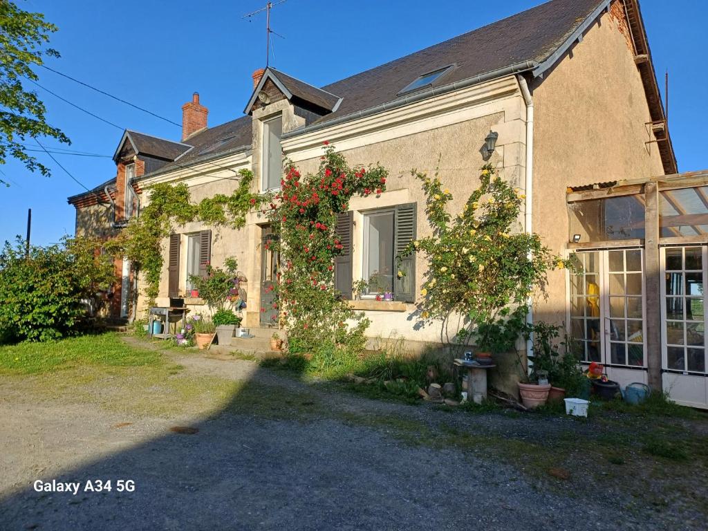 Image of  Les Chaumes Violettes 