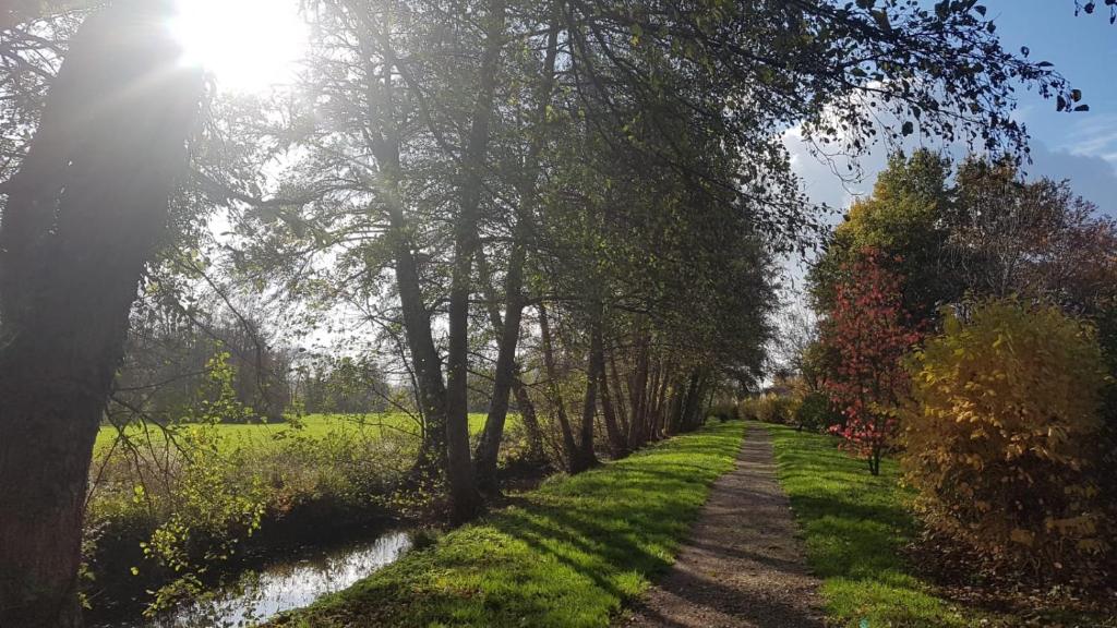 Image of  La Chevannaise - Chambre D'Hôtes Proche D'Auxerre 
