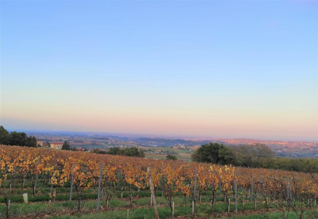 Image of  Appartement Bagnols - Les Meublés Des Pierres Dorées 