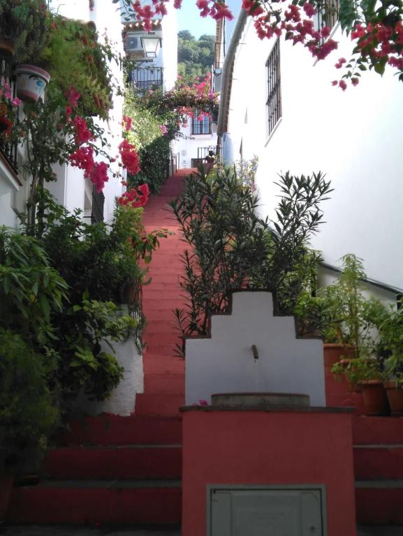 Image of  CASA EL CALLEJON DE BENAMAHOMA 