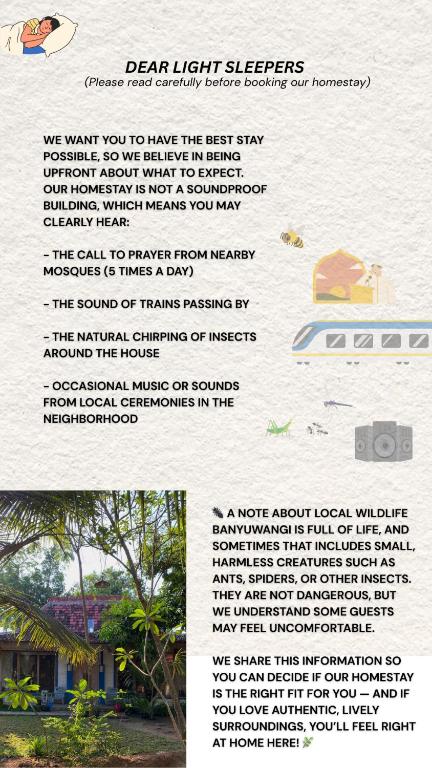 Image of Didu's Homestay Bed & Breakfast