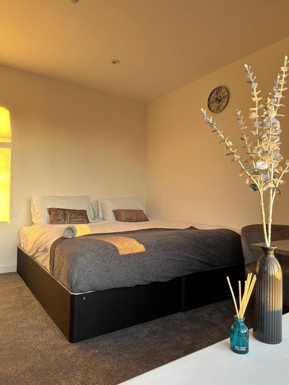 Image of  Alban Suites 