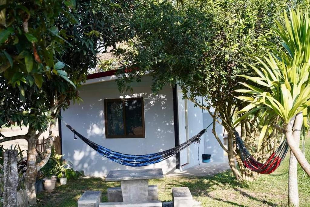 Image of MP Homestay & Resort Chiang Rai