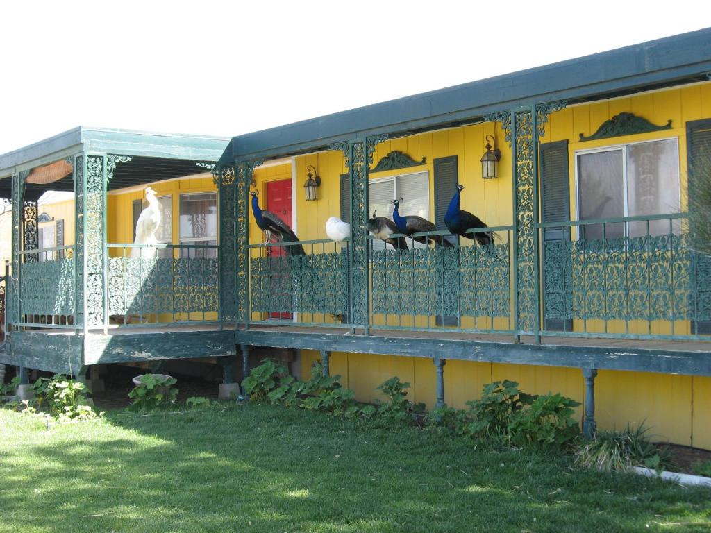Image of Shady Lady Bed And Breakfast