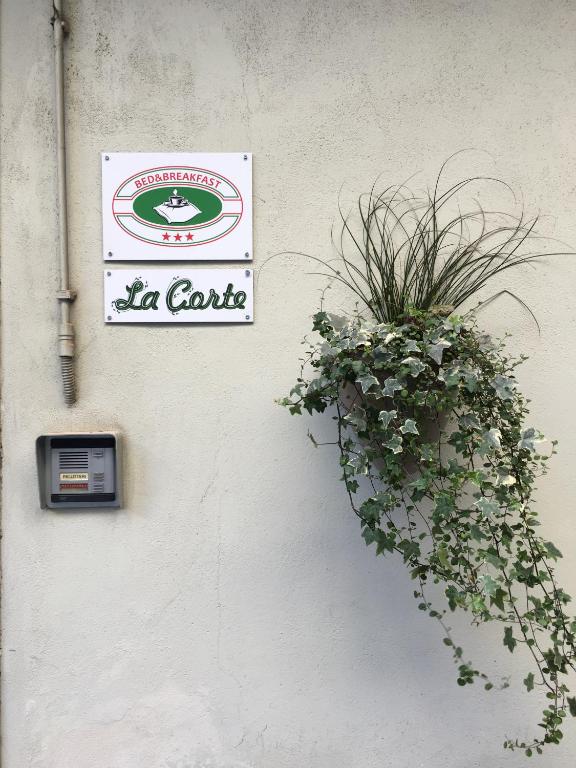 Image of  La Corte 
