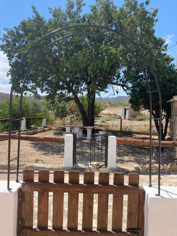 Image of  Luby Cortijo El Tío Emilio 