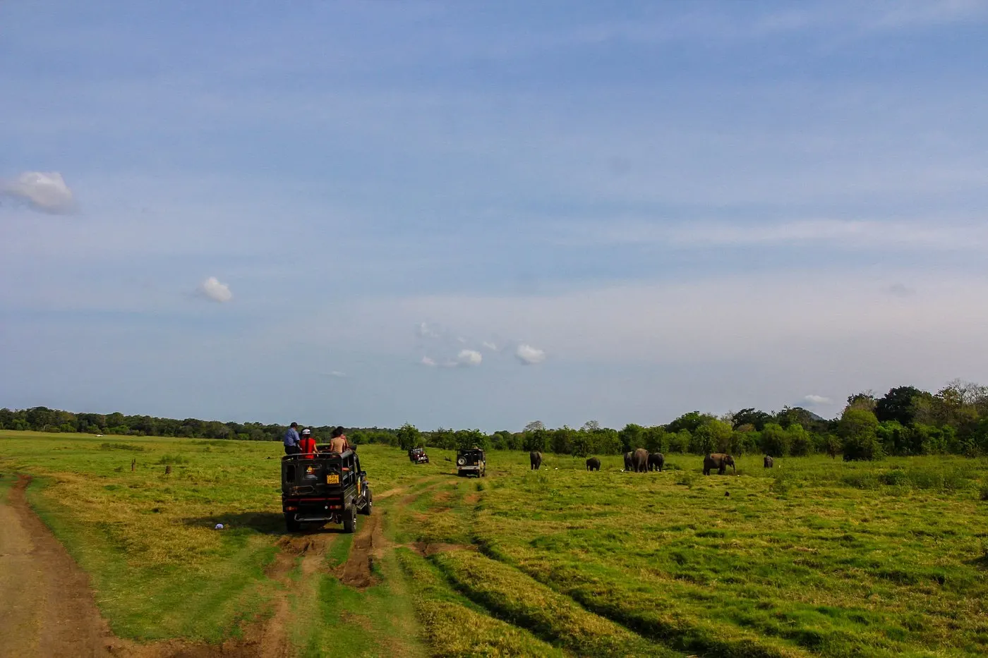 Minneriya — photo 2