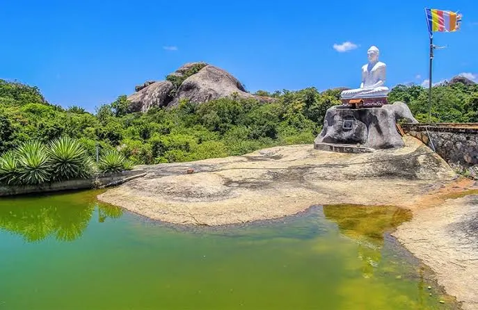 Arugam Bay — photo 3