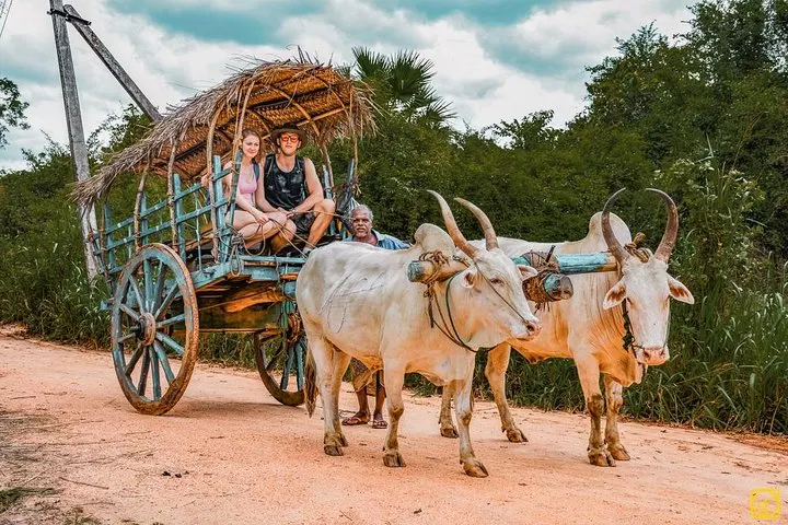 Sigiriya Cart Safari