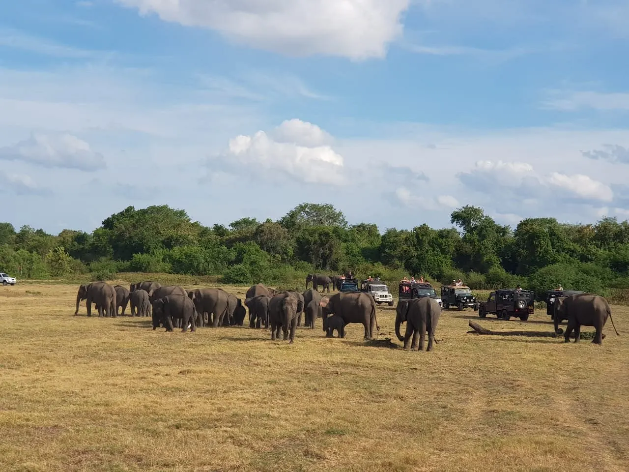 Afternoon Jeep Safari for The Gathering