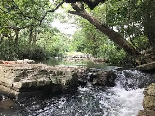 Cool Off in the Thelgamu Oya