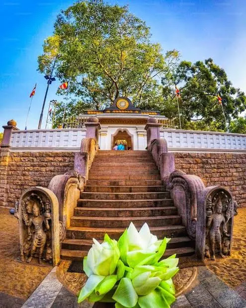 Morning Devotions at Sri Maha Bodhi
