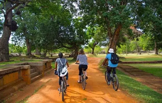 Cycle the Sacred City at Dawn