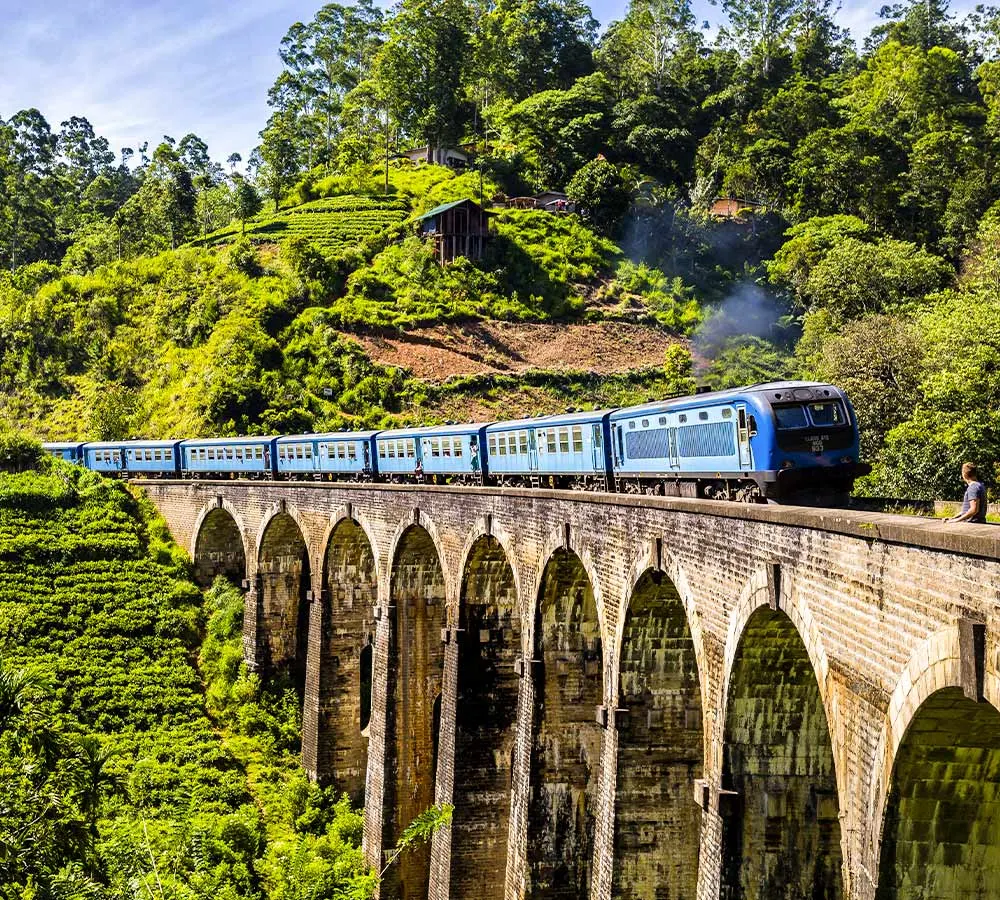 The Nine Arch Bridge Train-Spotting Morning