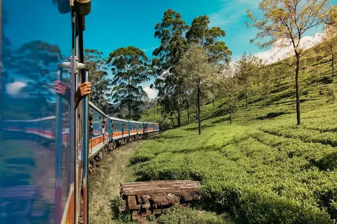 The Scenic Highland Train Ride