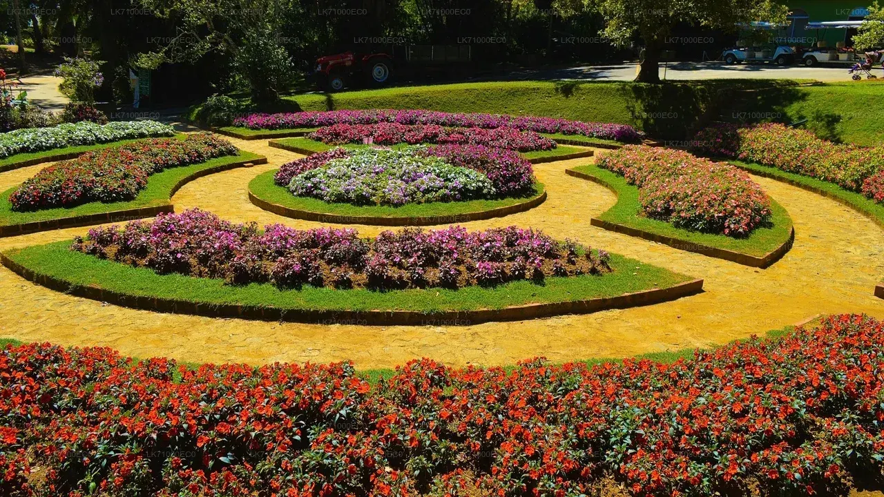 A Day Trip to Hakgala Botanical Garden
