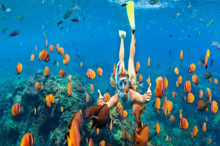 Snorkel the Reef Bay