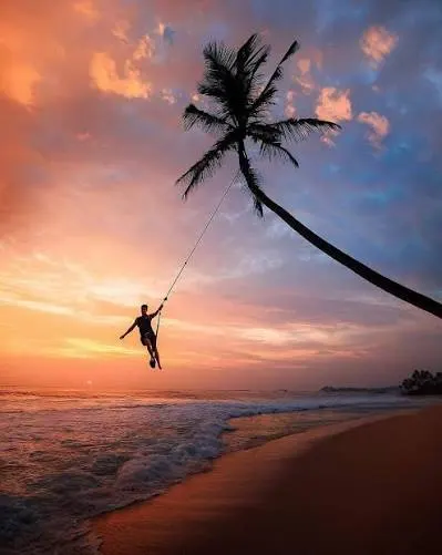 The Dalawella Palm Rope Swing