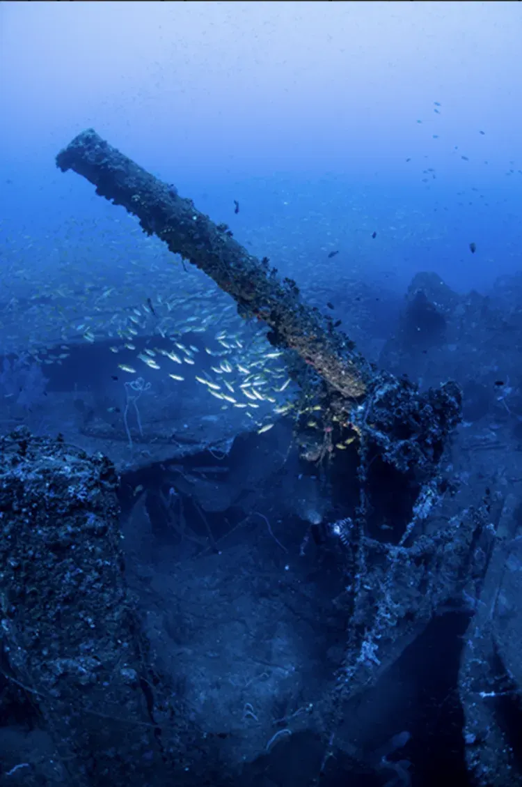 Wreck Dive HMS Hermes