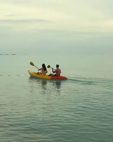 Kayak or Paddleboard the Bay