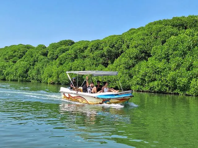 Muthurajawela Wetland Boat Safari