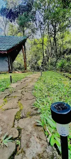 Nature Life Eco Resort -Riverston — photo 2