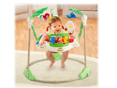 Fisher Price Animals of the Rainforest Jumperoo